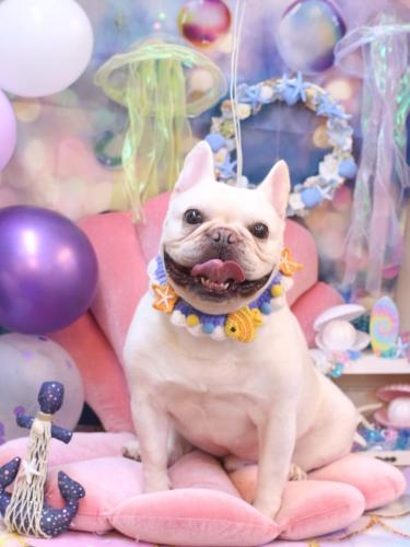 2024082まろんくん